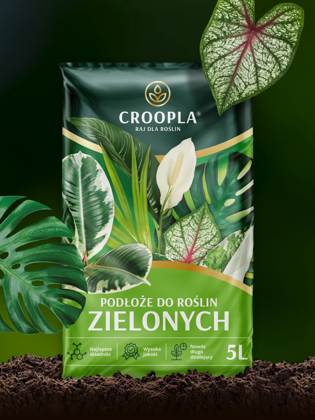 Croopla