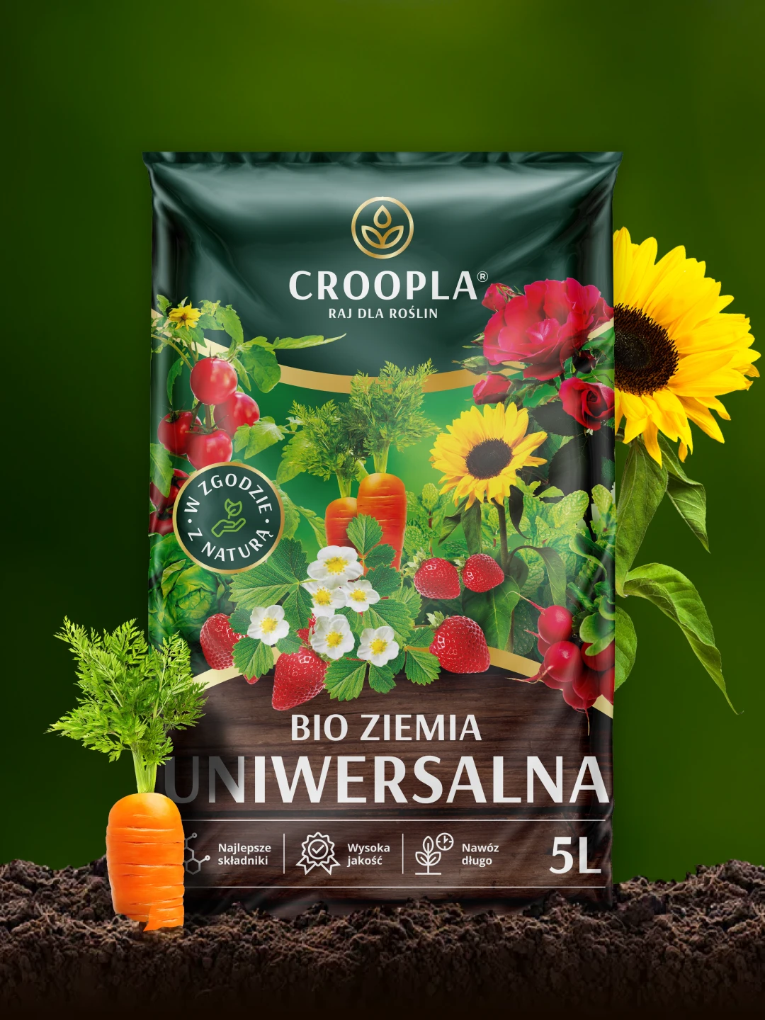 Croopla