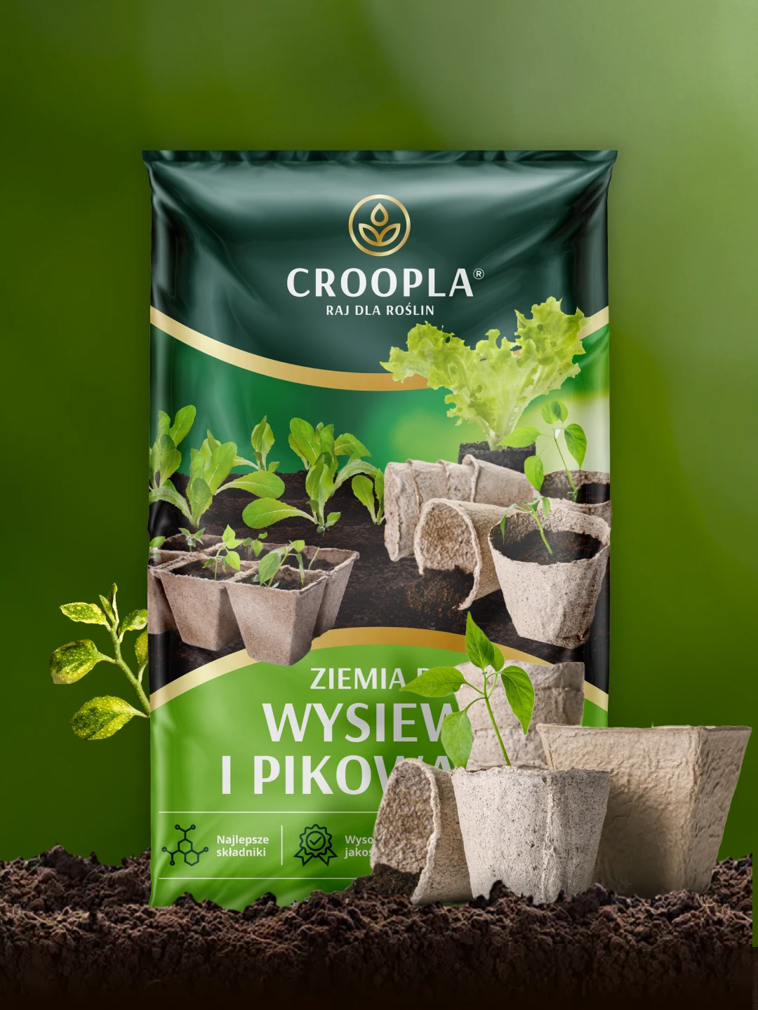 Croopla