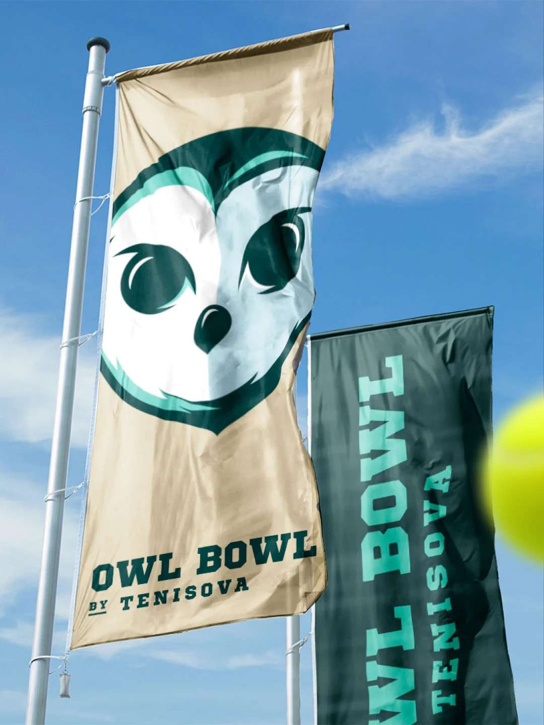 owl